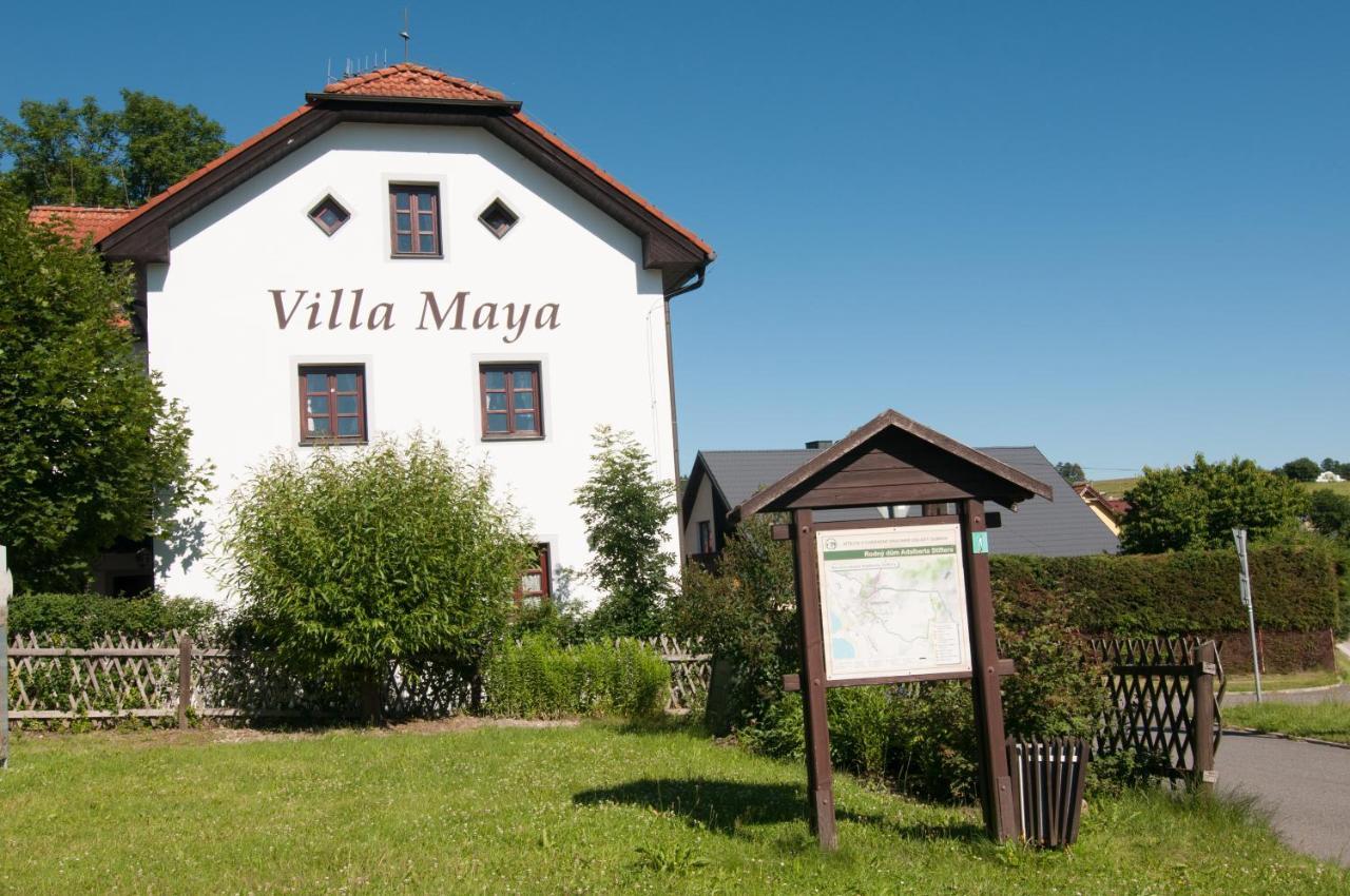Villa Maya Horni Plana Luaran gambar